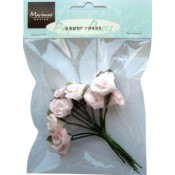 Roses light pink