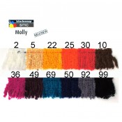 SMC Molly
